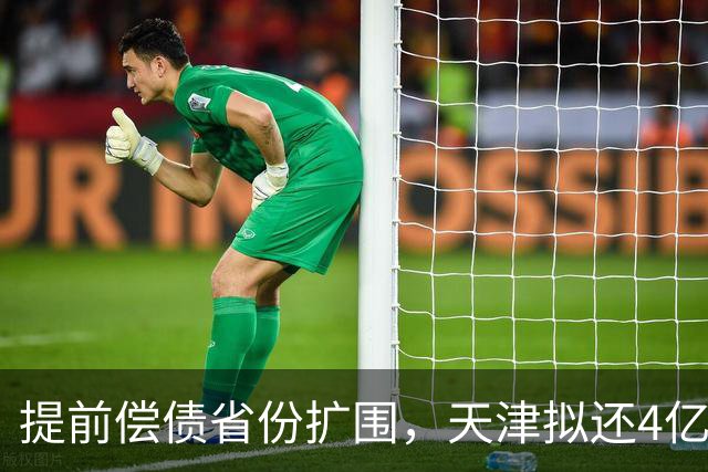 提前偿债省份扩围，天津拟还4亿元
